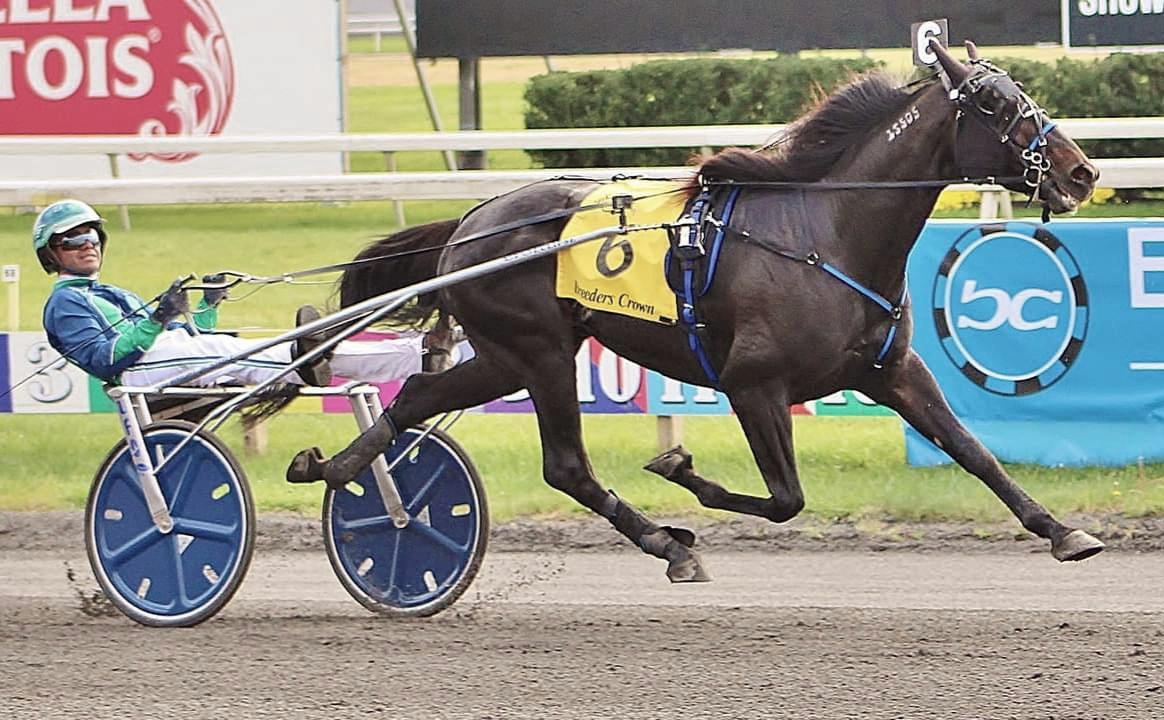 Carousel image three